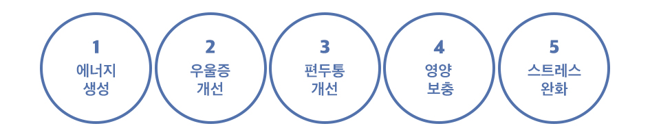 와인주사효능